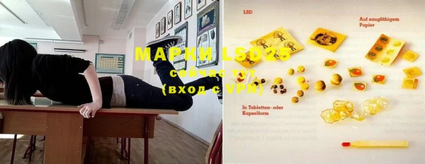 крисы Вязьма