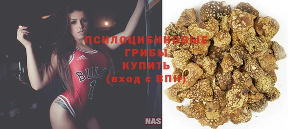 MDMA Бородино